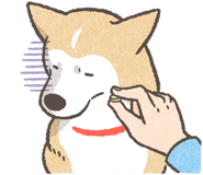 849150423