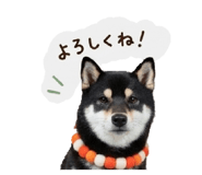 849157561
