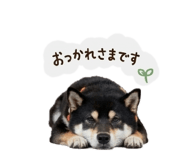 849157562