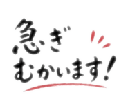 849158426