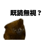 849159212