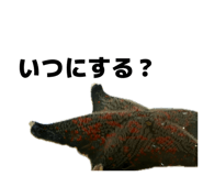 849159213