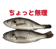 849159220