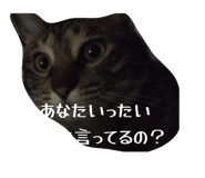 849159503
