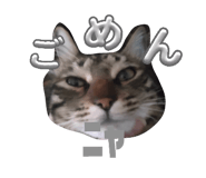 849159505