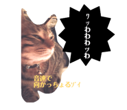 849159511