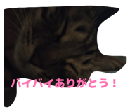 849159514