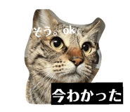849159517