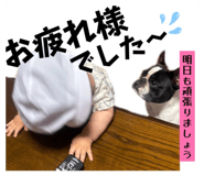 849159673