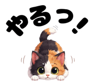 849162861