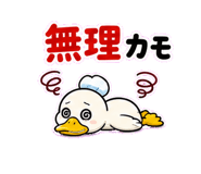 849164504