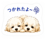 849168387