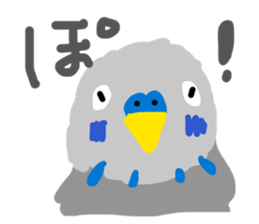 849168492