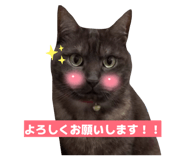 849168694