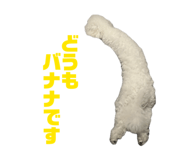 849172780