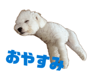 849172786