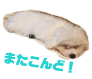 849172793