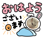 849175081