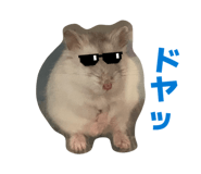 849175085