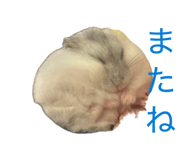 849175086