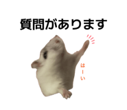 849175087