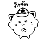 849175114