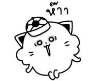 849175116