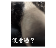 849200740