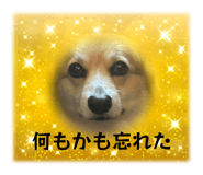 849203589
