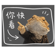 849219746