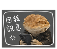 849219755
