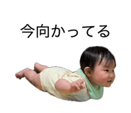 849222282