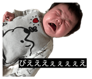849222304