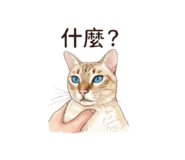 849232252