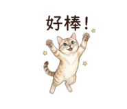 849232258