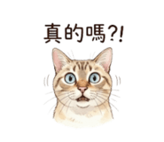 849232259