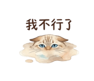 849232262
