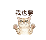 849232267