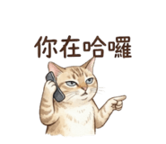 849232273