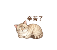 849232276