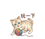 849232280