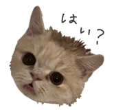 849233730