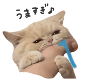 849233734