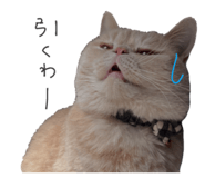 849233741