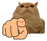 849233743