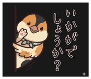849233801