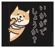849233802