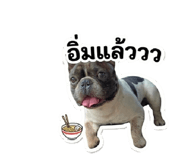849236287