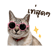 849238552