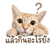 849241988